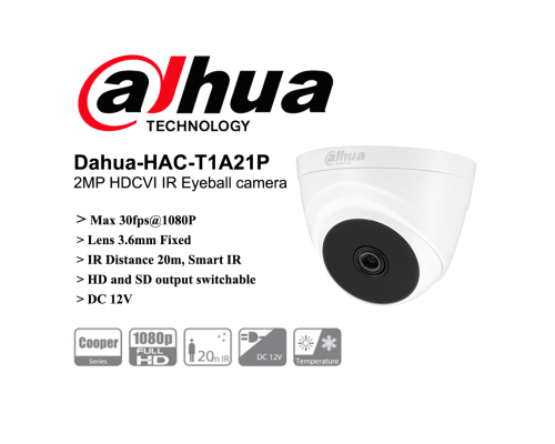 Dahua-HAC-T1A21P 2MP HDCVI IR Eyeball camera