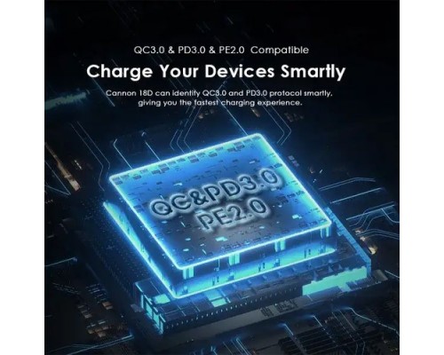 Oraimo OCW-5183E+L53 18W Type-C RAPID CHARGER